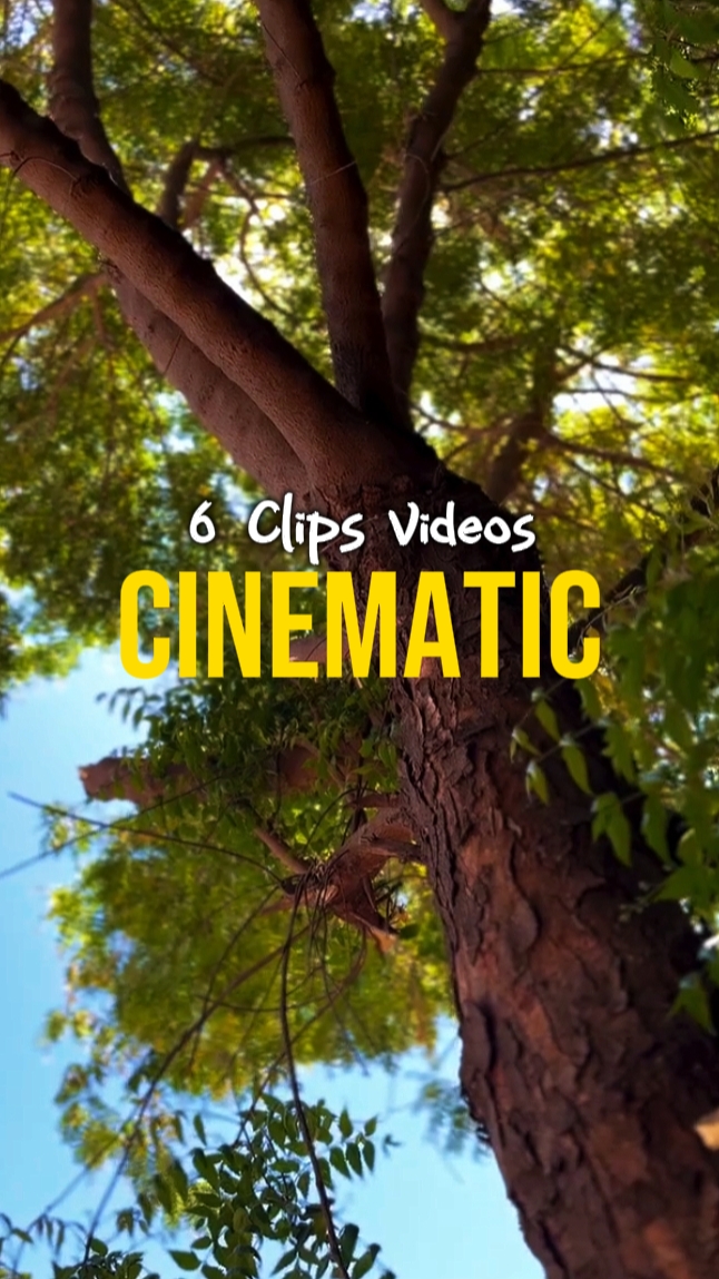 6 CLIPES CINEMÁTICOS