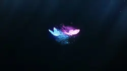 color butterfly