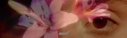 Ajoute 4 clips