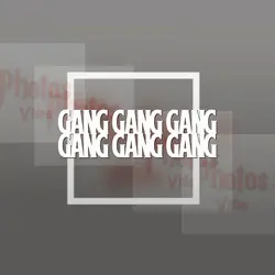 Gang 