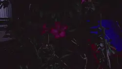 akatsuki theme