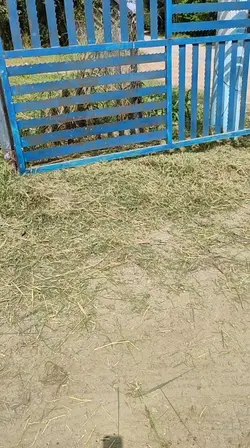 operador de roçadeir