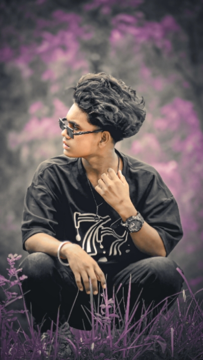 Cover Picture