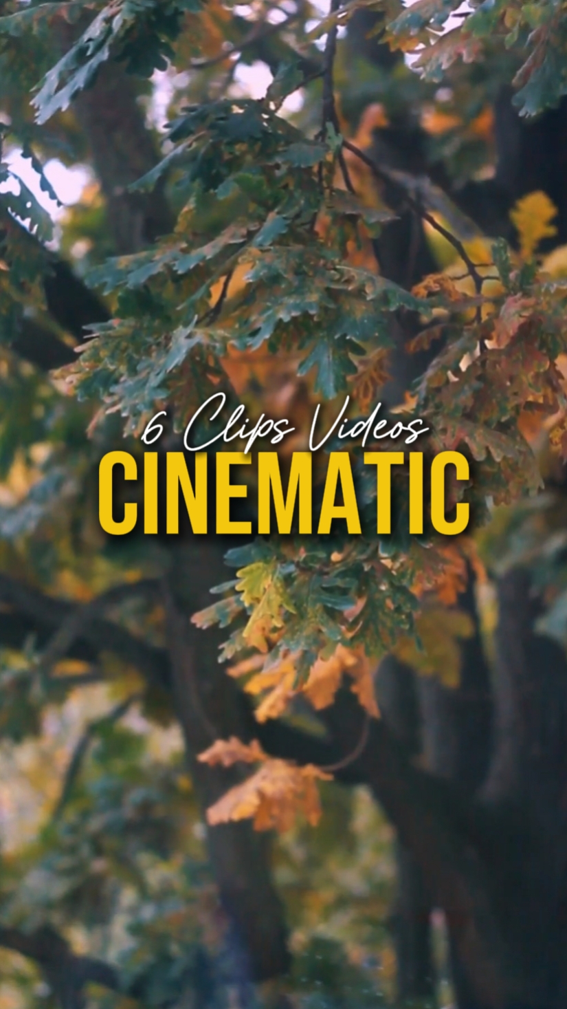 CINEMATIC 6 VIDEOS