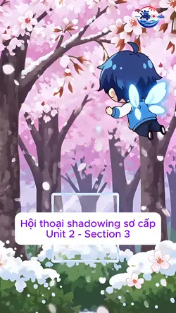 CTNVS