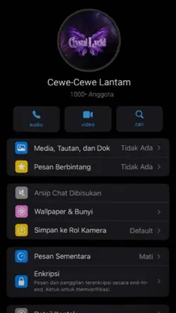 COLLAB 8 ORANG