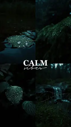 Calm vibes