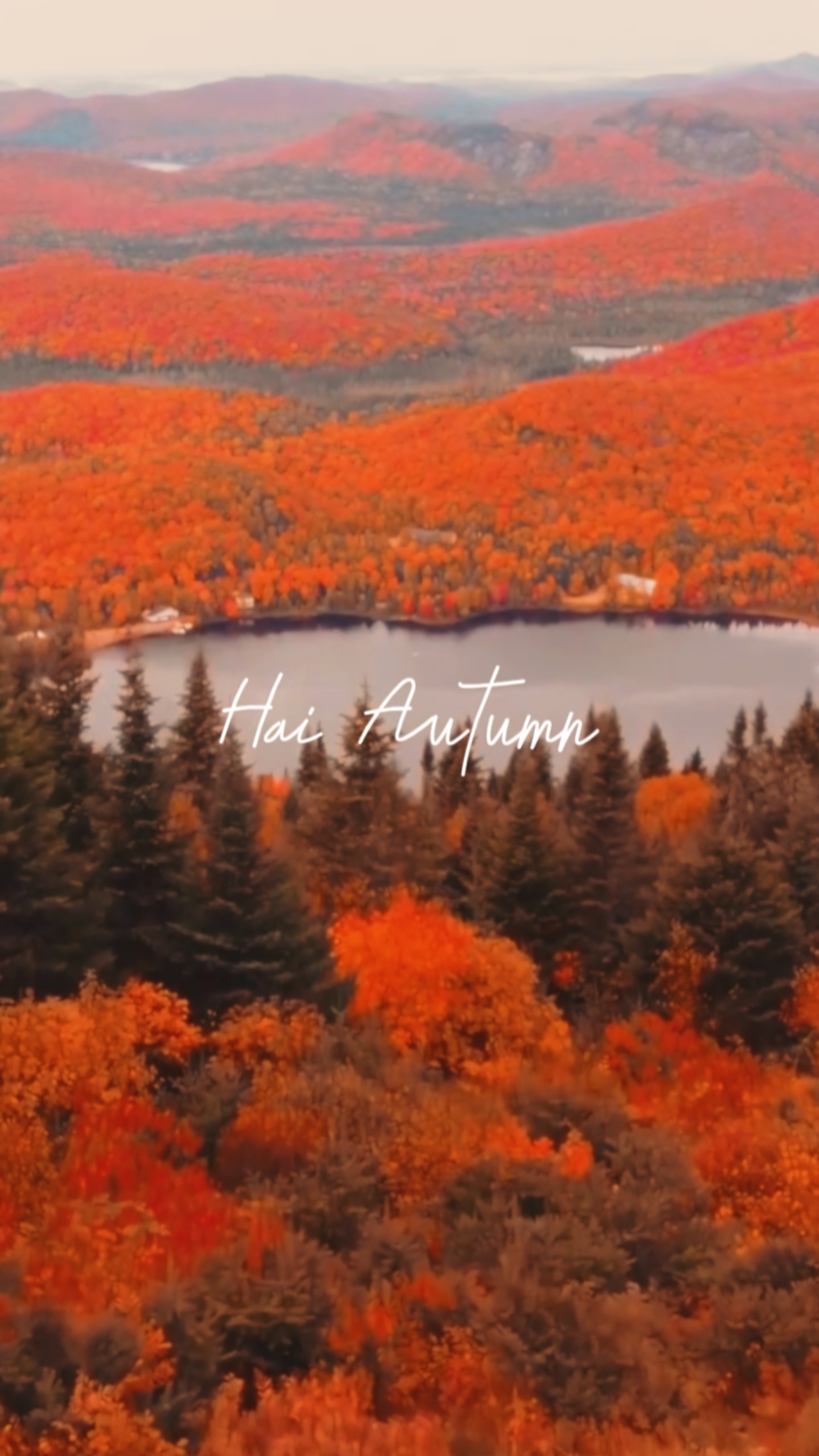 Hai Autumn