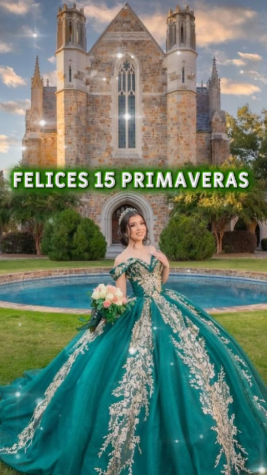 MIS XV