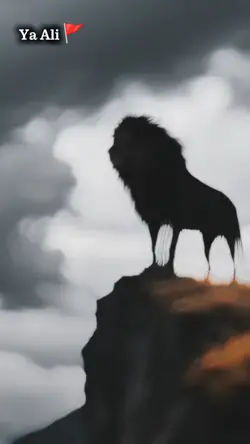 mola Ali 