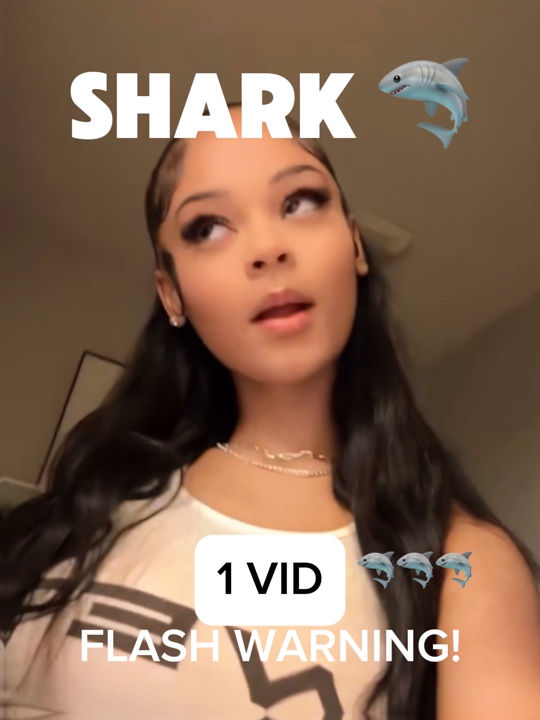 shark shark 🦈