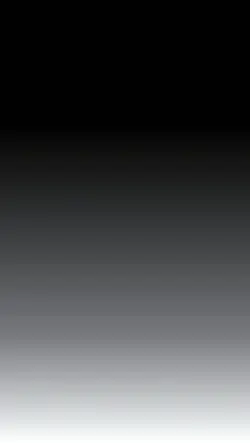 ခေတ်စာပိ