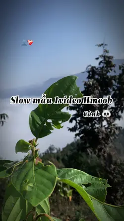 Slow mẫu 1video hmob