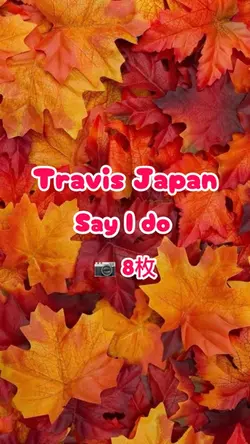 TravisJapan Say l do