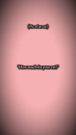 your cat