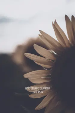 ที่เดิม