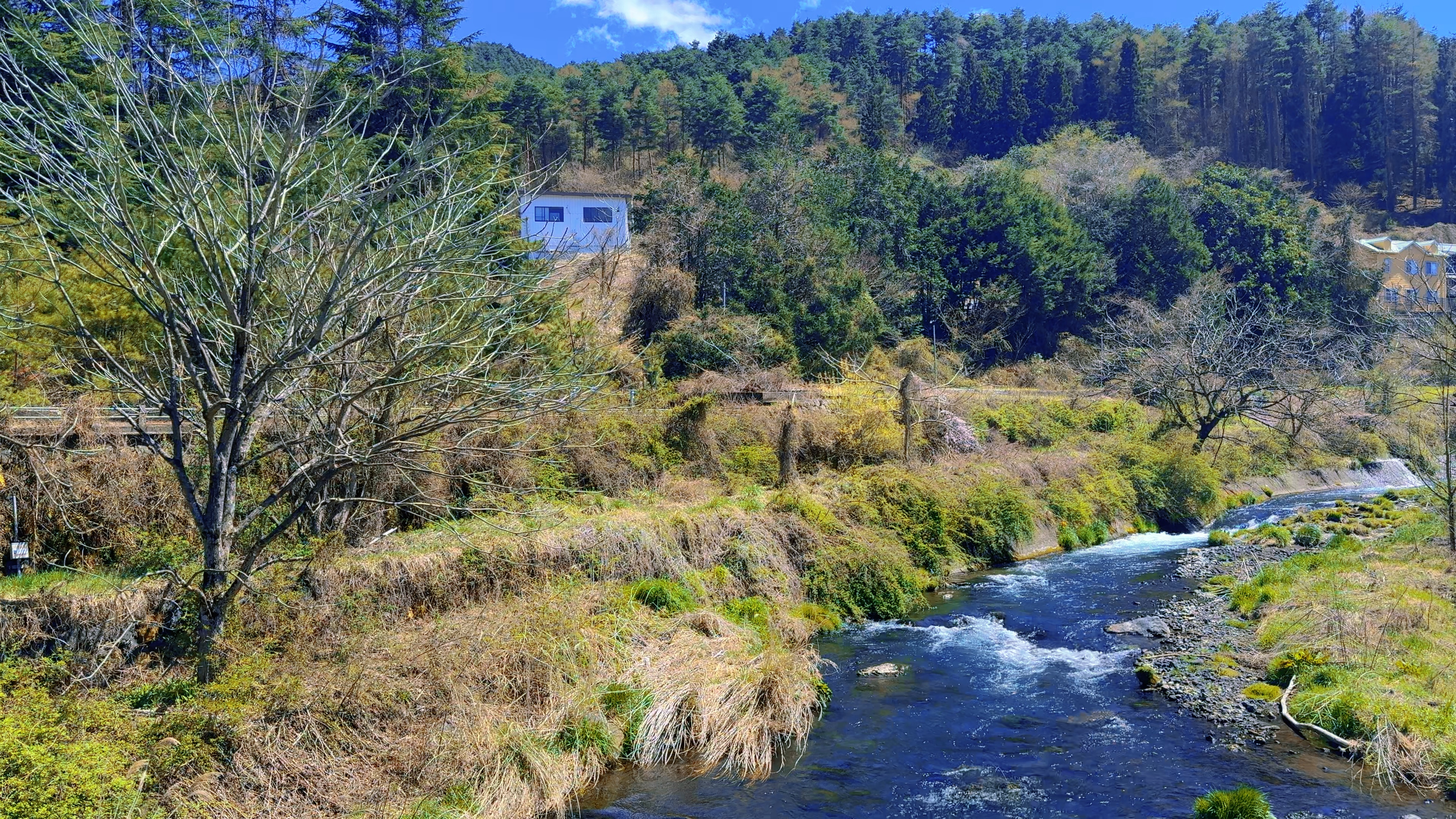Nature Japan