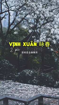 Vịnh Xuân 咏春