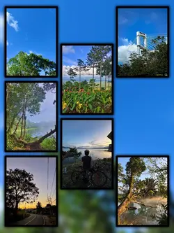 7Pic Trend