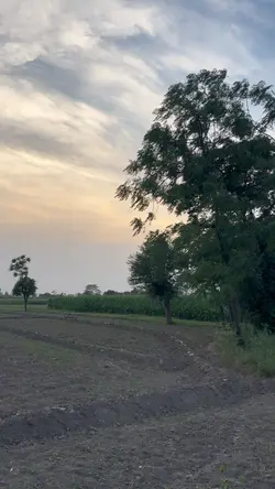 Pind mery diya fsla