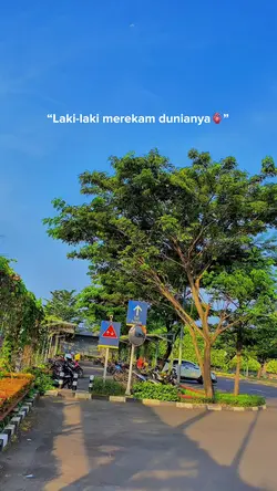 Laki merekam duniany