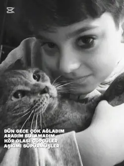 mittiaahmetminguzzii