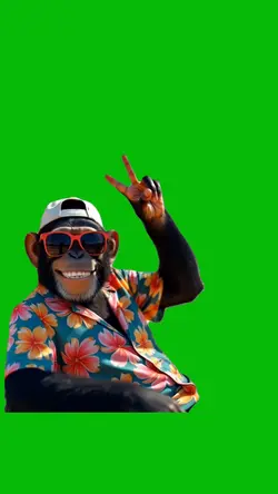 Monkey Chilling 🐒