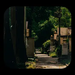 MUỐN NÓI VỚI EM