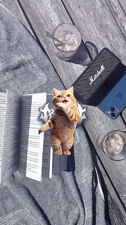 versi kucing dc