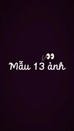 Mẫu 13 pic