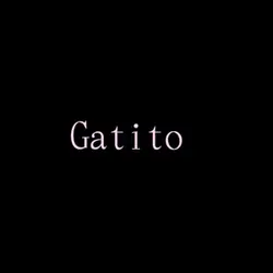 Mi gatito
