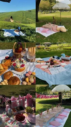 Picnic Moment