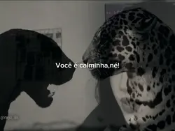 trend em alta