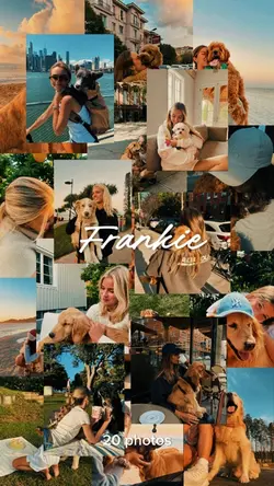 Memories with pet ❤️