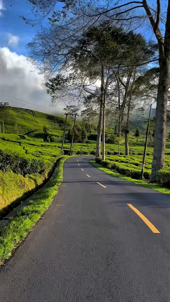 5 video HD 