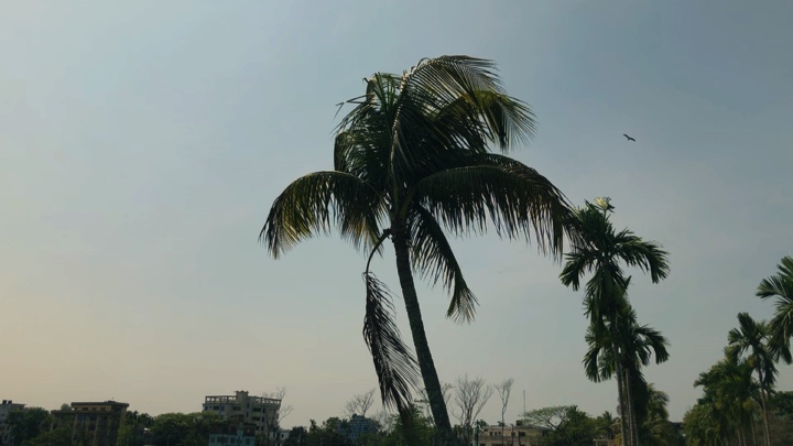“দুঃসময়েই বোঝা যায়, আসলে 