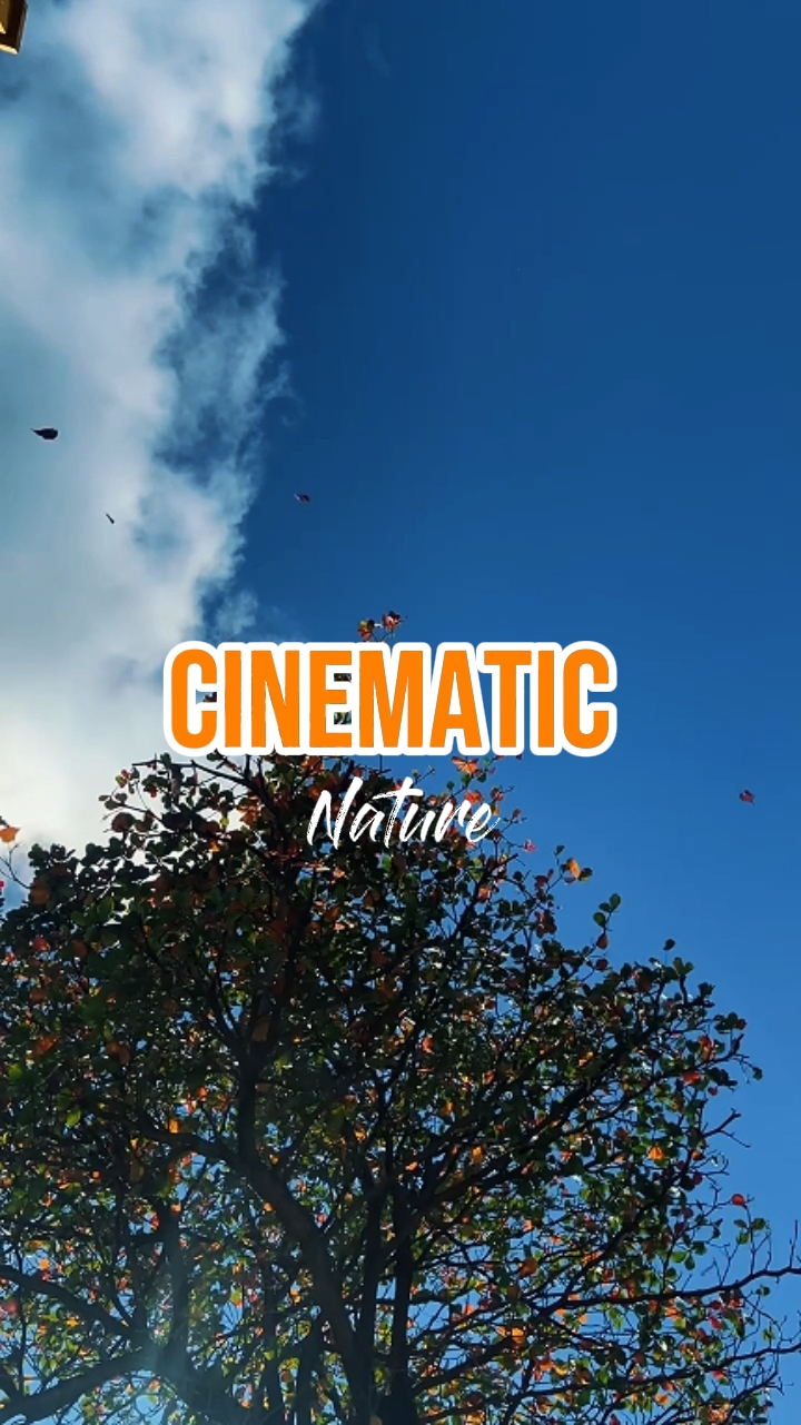 CINEMATIC Nature 