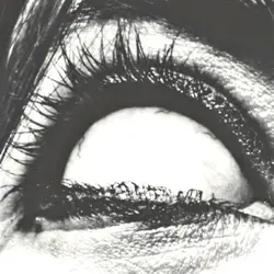 Шаблон для реков 