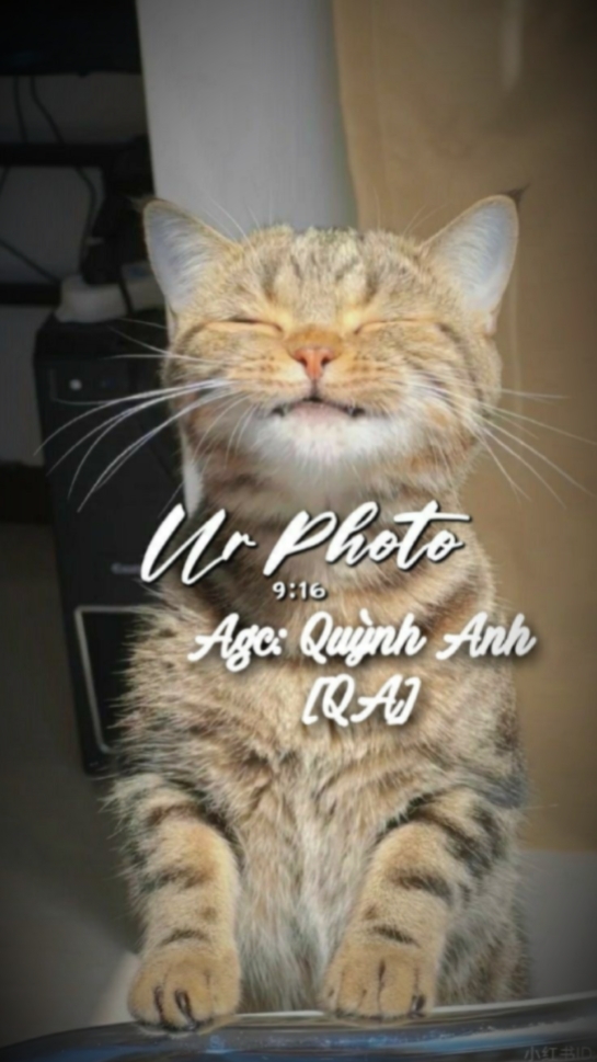  ຈັງຫວະຕາມເພງ