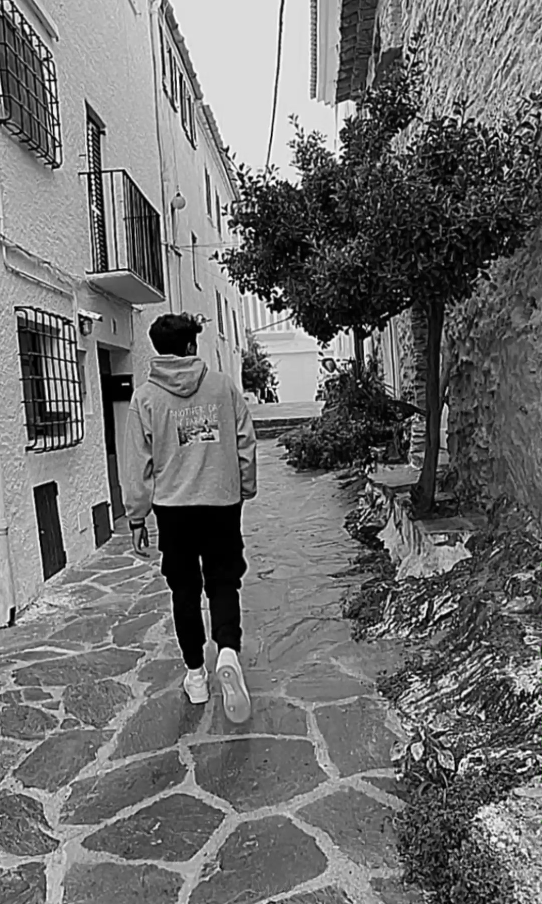 الشامي Al-Shami 