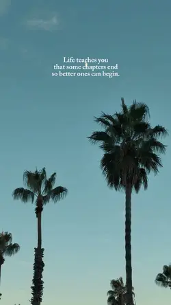 Some Chapters End