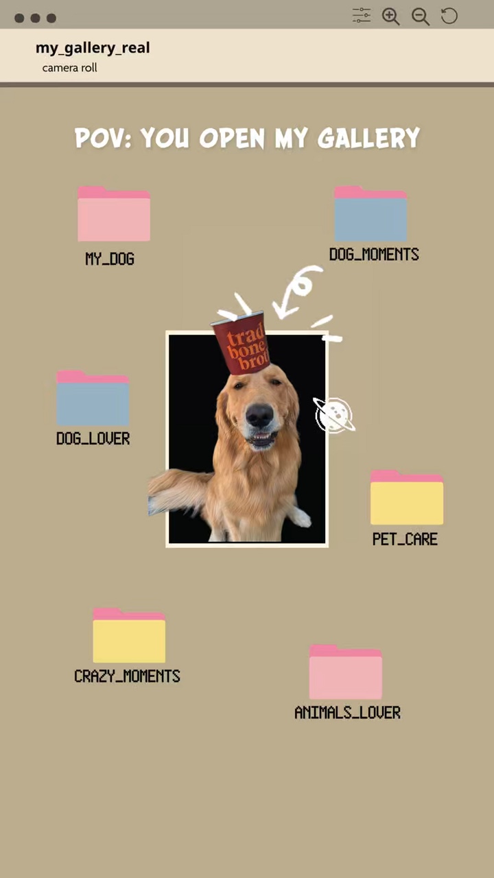 Dog dump