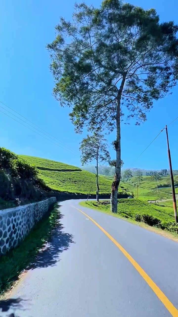 Carretera de video de 5 clips
