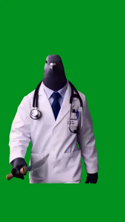 doctor pigeon 2
