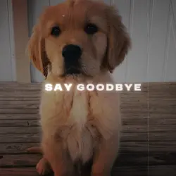 How Do I Say Goodbye