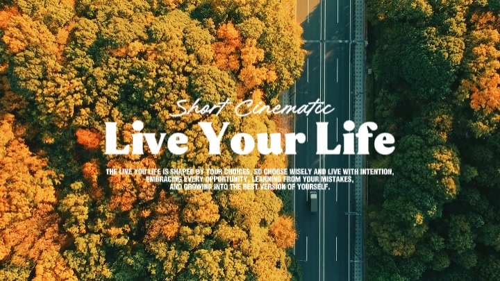 Live Your Life