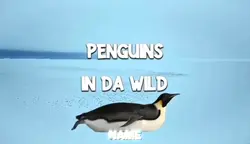 Penguins In
