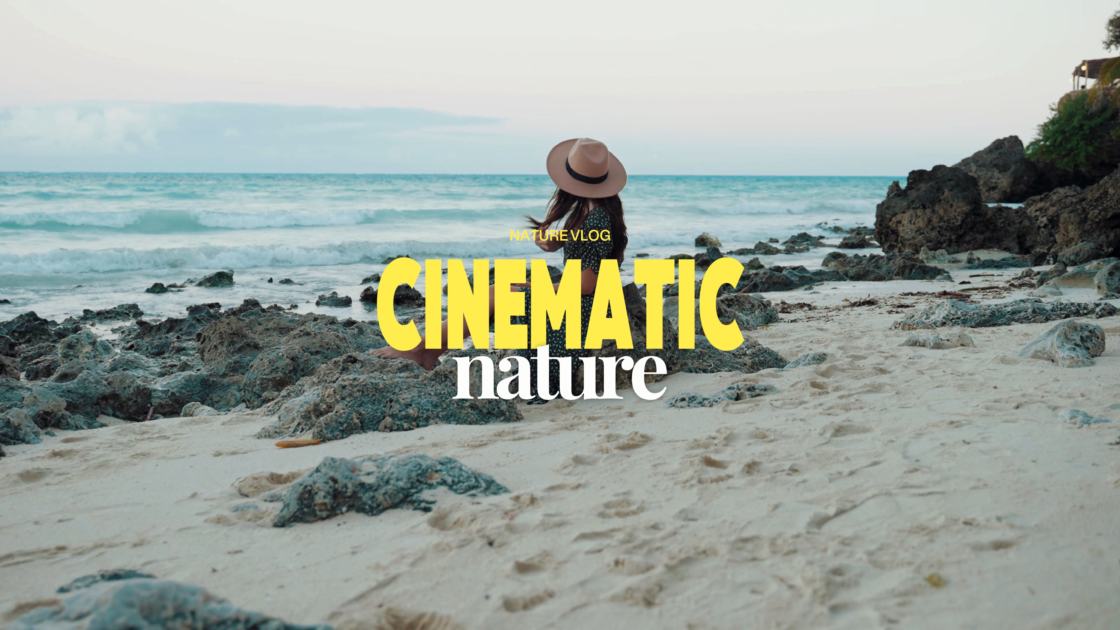 nature cinématographique
