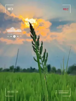 Ảnh*Chuyển màu 
