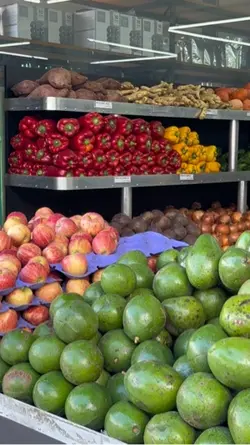 Hortifruti 
